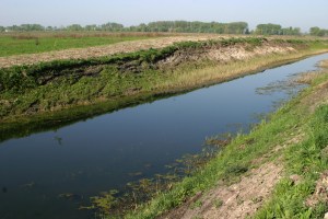 West landscape from the 1 km point