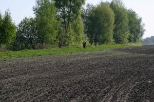 About two third of the distance is completed